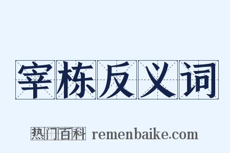 宰栋反义词是什么意思的图片
